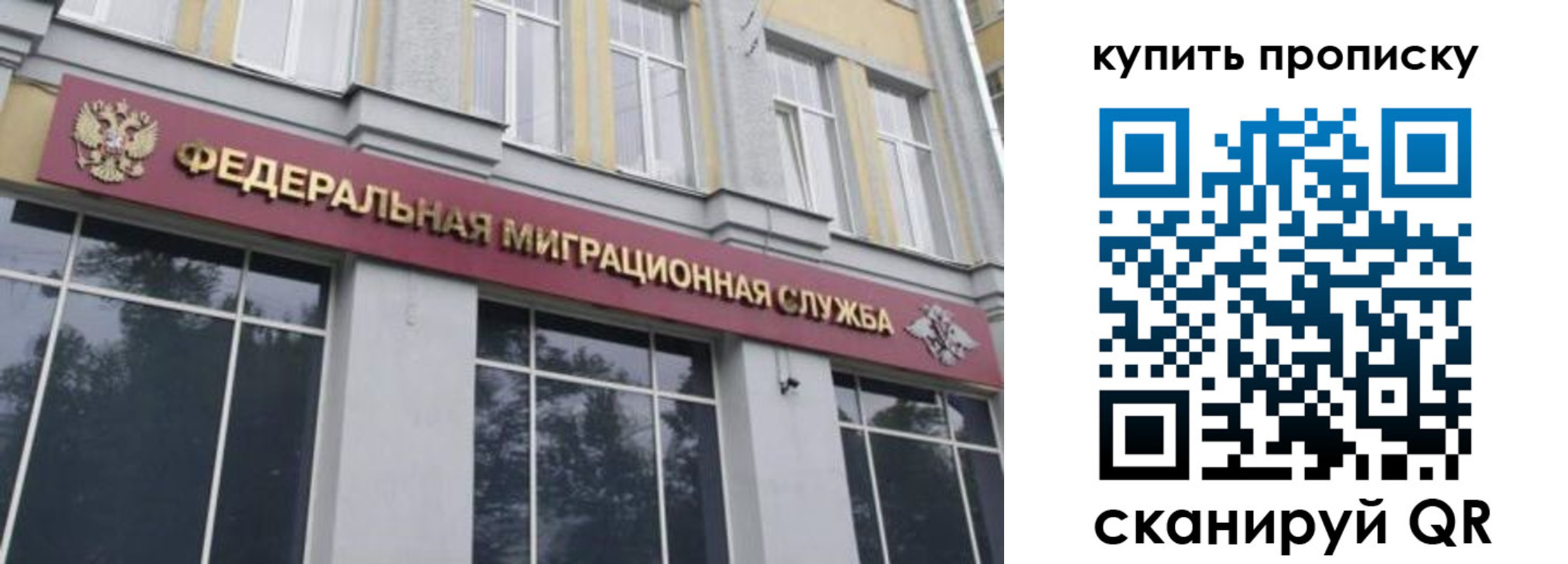 прописка поиск в Советске